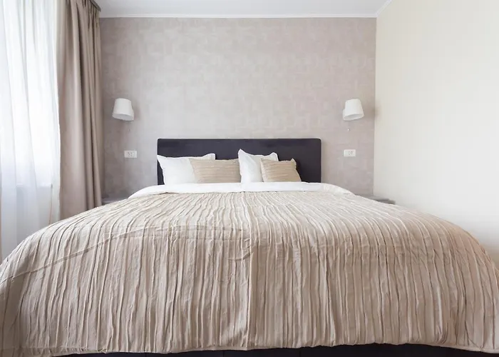 Heart Of The 1 Timişoara